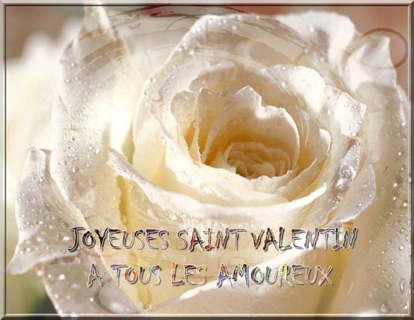 JOYEUSE ST VALENTIN DU 14 FÉVRIER 2013 93cef8ea