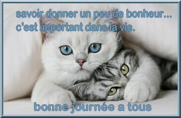 Ƹ̵̡Ӝ̵̨̄Ʒ ♥ Bonjour...Bonsoir...Quoi de neuf??? ♥ Ƹ̵̡Ӝ̵̨̄Ʒ . - Page 9 Ad175570