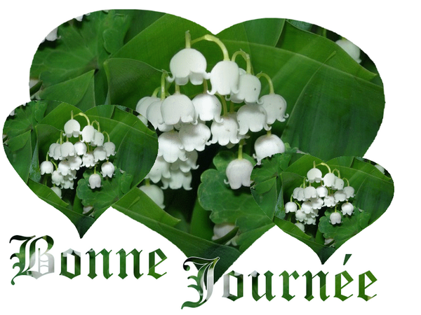 Ƹ̵̡Ӝ̵̨̄Ʒ ♥ Bonjour...Bonsoir...Quoi de neuf??? ♥ Ƹ̵̡Ӝ̵̨̄Ʒ . - Page 2 B585f793