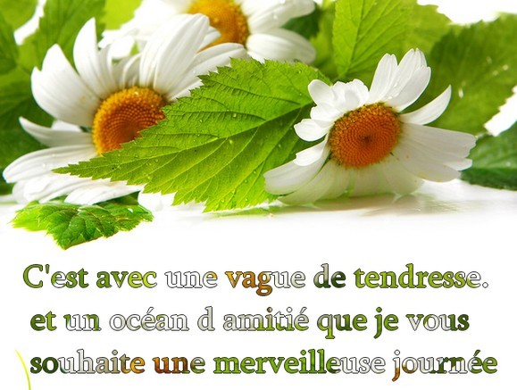 Ƹ̵̡Ӝ̵̨̄Ʒ ♥ Bonjour...Bonsoir...Quoi de neuf??? ♥ Ƹ̵̡Ӝ̵̨̄Ʒ . - Page 31 Bff402b7