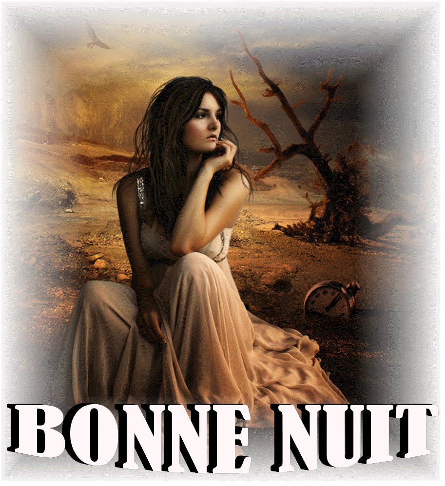 bonne nuit !!! - Page 48 D0aad866