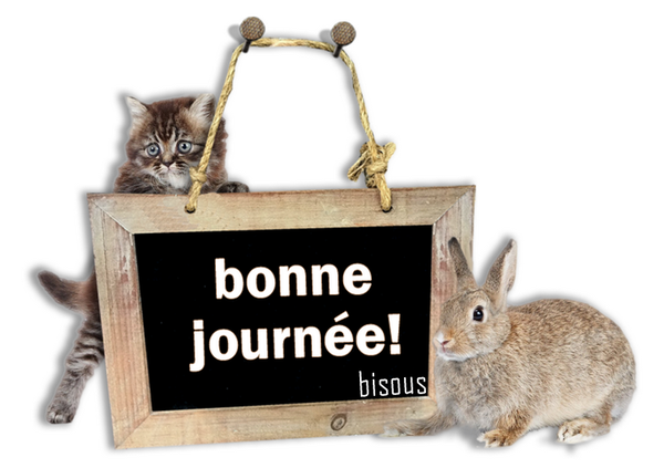 Ƹ̵̡Ӝ̵̨̄Ʒ ♥ Bonjour...Bonsoir...Quoi de neuf??? ♥ Ƹ̵̡Ӝ̵̨̄Ʒ . - Page 10 D955061a