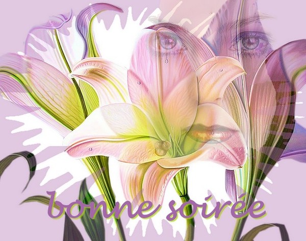 Ƹ̵̡Ӝ̵̨̄Ʒ ♥ Bonjour...Bonsoir...Quoi de neuf??? ♥ Ƹ̵̡Ӝ̵̨̄Ʒ . - Page 6 Fe5e17ca