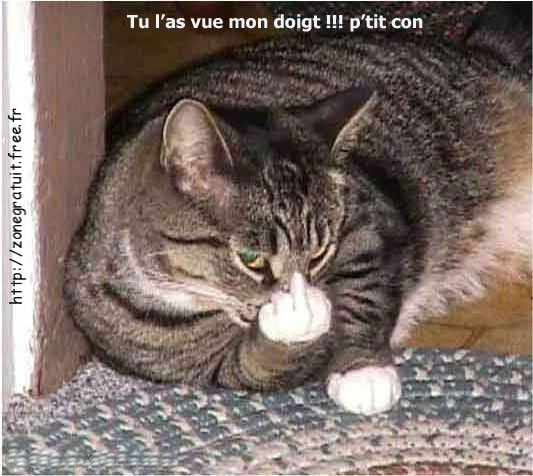 L'humour en image ! Animaux11