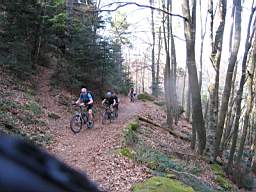 VTT Alsace/Vosges, Ste Odile, Barr, Ungersberg, Champ du feu TN_IMG_1259