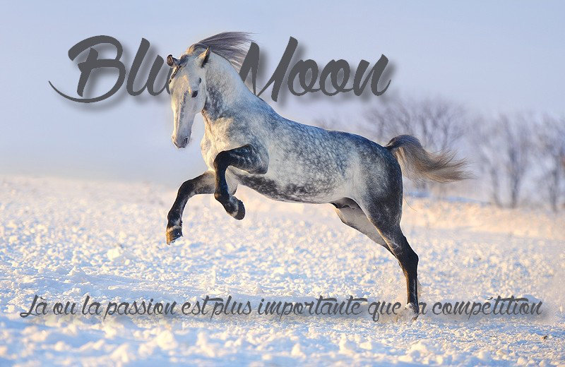 Blue Moon