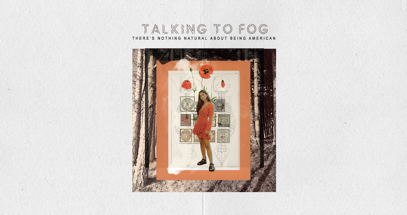 talking to fog