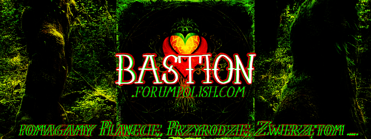 BASTION