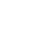   Strong Style Wrestling