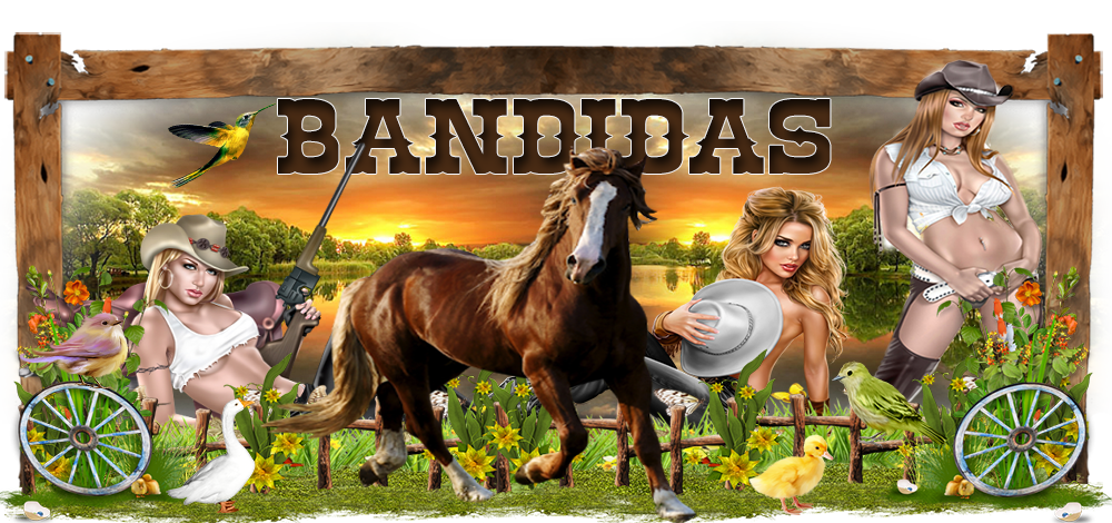 BANDIDAS