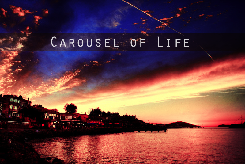 Carousel of life