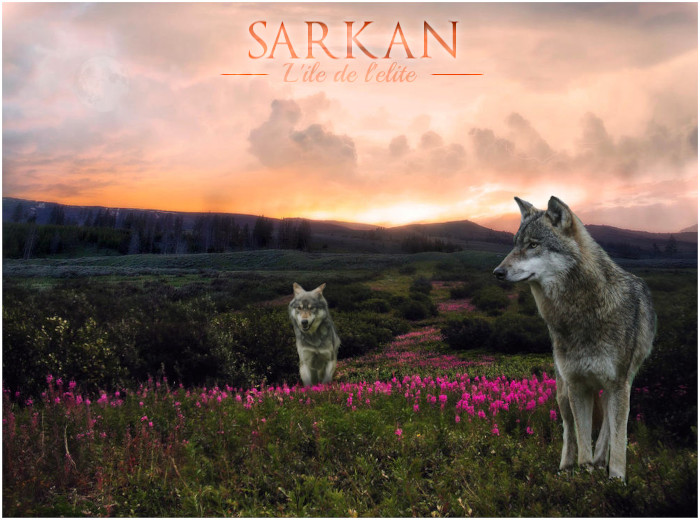 Sarkan