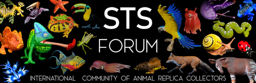 STS Forum 