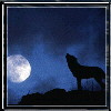 Les Analyses de kits Loup_nuit_bleu