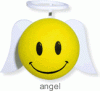 angel1208