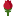 → la rose à 7 1f339