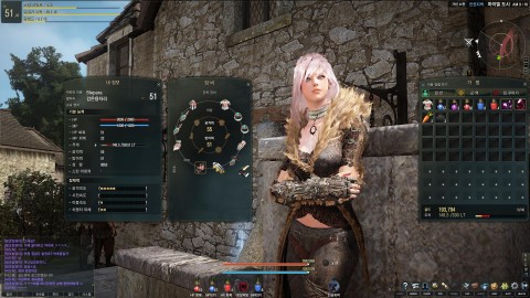 Aperçu : Black Desert Online : le point sur le jeu 1450879262-1348-noelshack-artwork