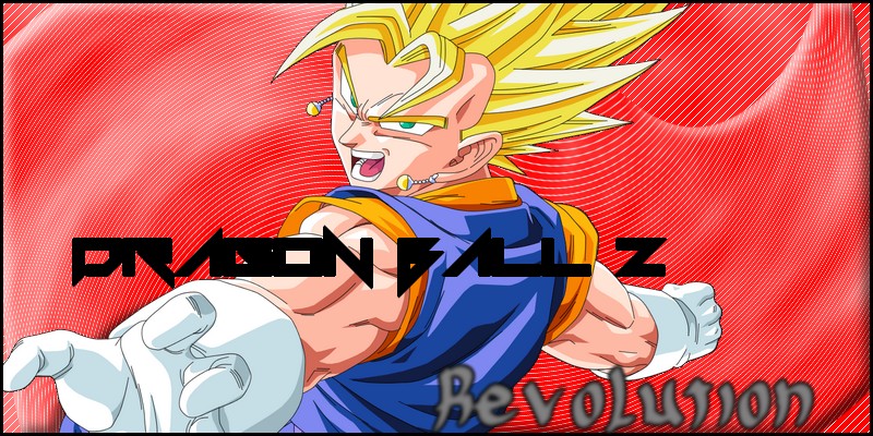 Graphismes  1352639111-banniere-dbz-revolution