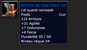 [Guide Voleur] La Bible du PVE HL: conseils, stuff pré-raid, enchants et consos (Vanilla) 1360093990-bottes