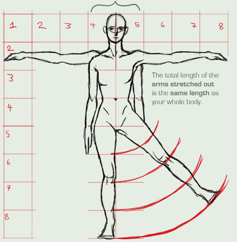 Comprendre l'anatomie — free download