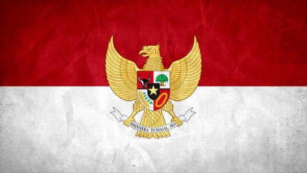 Topic Officiel - Page 3 1378992616-indonesia-grunge-flag-w-coat-of-arms-by-syndikata-np-d609vsc