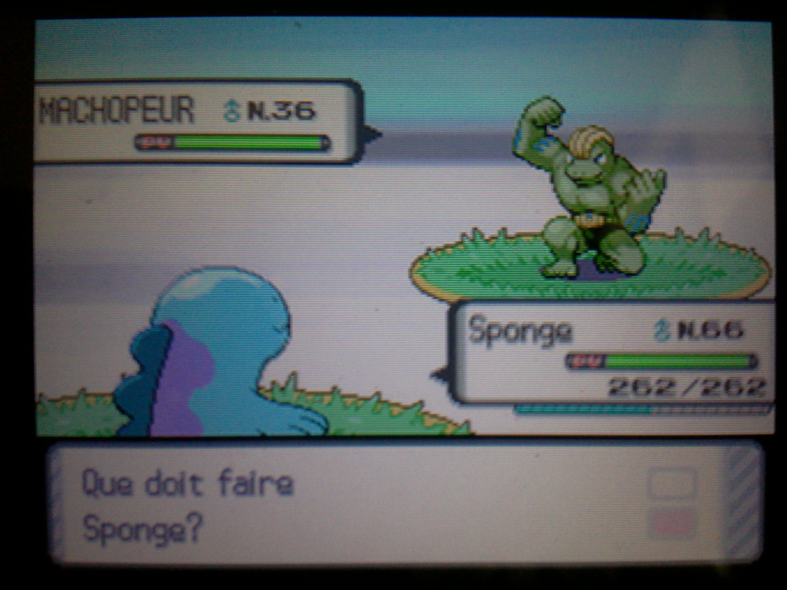 [ShinysHunters' Teams Cup n°8] Rapports et Classements   - Page 4 1405699814-photo1134