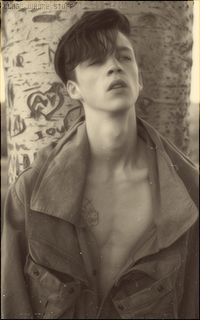 Ash STYMEST 1416159837-013