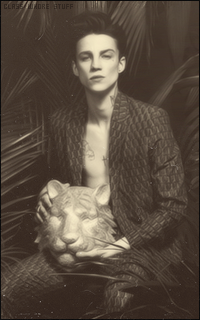 Ash STYMEST 1416164981-017