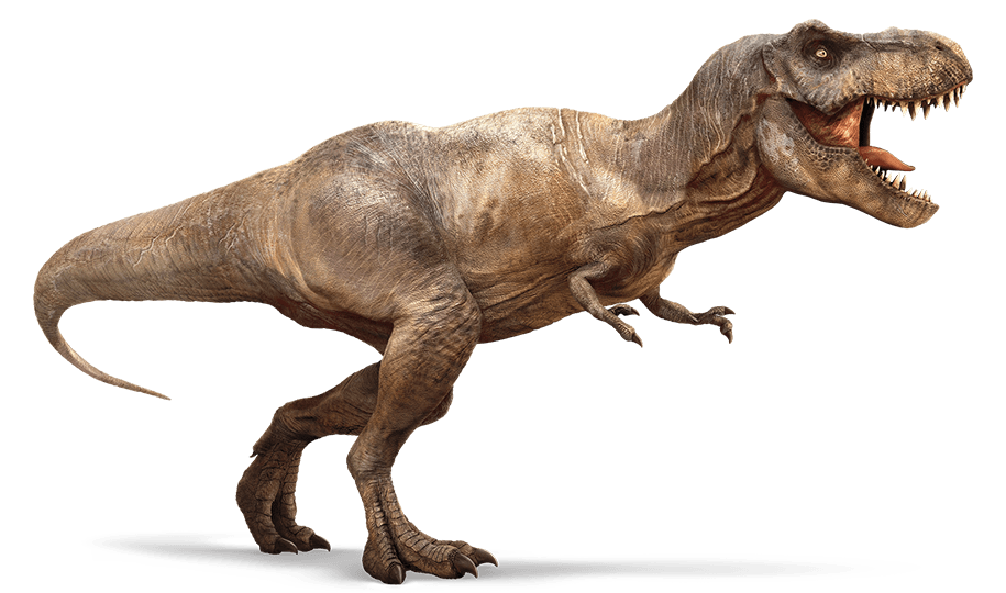 En  ce 16/3, le nombre 163 étant par excellence celui du Créateur : révélations sur le nombre de la Bête 666 1463243406-tyrannosaurus-rex-detail-header