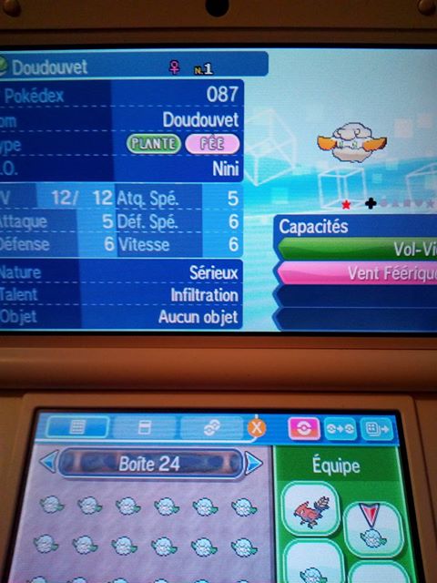 Avis sur mon Doudouvet shiny  1483788376-15823182-10210023468336016-7984756212920627000-n