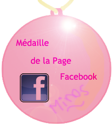 Techniques de Minos  1512949796-medaille-fb