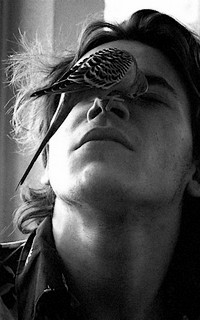 Galerie alternative d'avatars (rares et chers) - Page 5 1519204361-river-phoenix