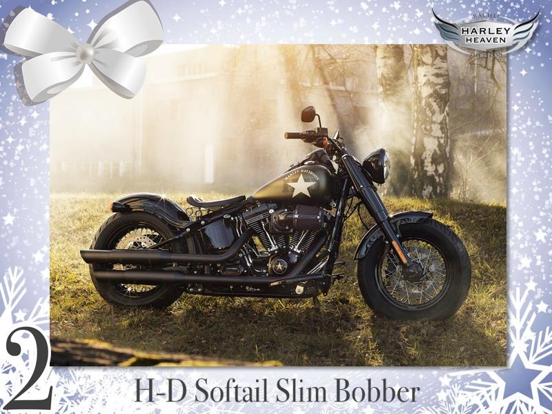 SOFTAIL SLIM... les accros de la Slim attitude !! - Page 27 1530701882-24058938-1576048829124451-7322484672134212158-n