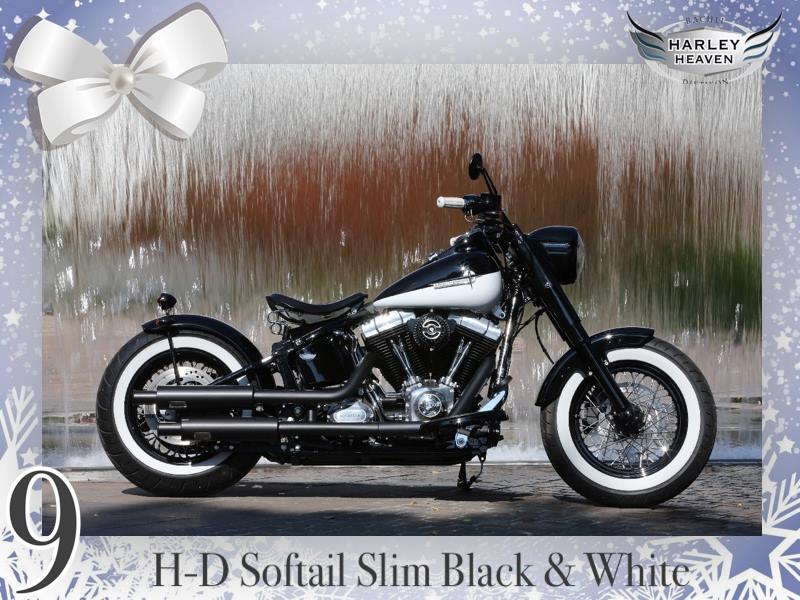 SOFTAIL SLIM... les accros de la Slim attitude !! - Page 27 1530701882-24231875-1576056742456993-6948037380124023897-n