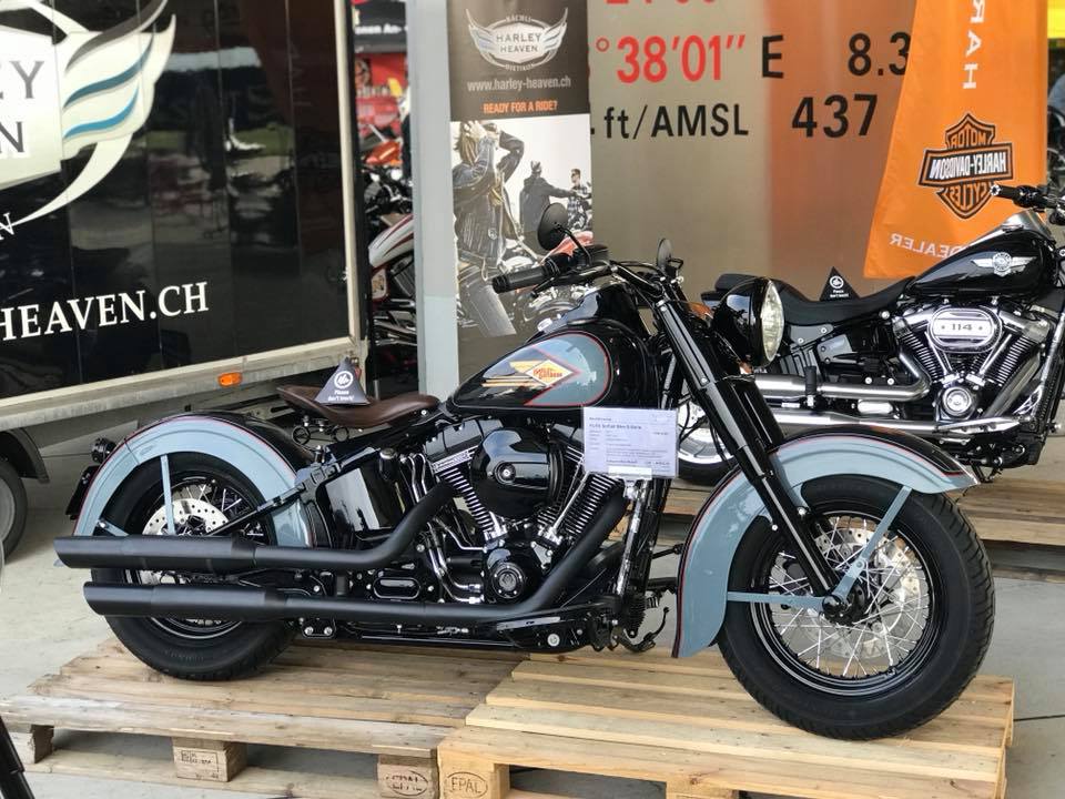 SOFTAIL SLIM... les accros de la Slim attitude !! - Page 28 1530701882-31484777-1741862995876366-274244901779013632-n