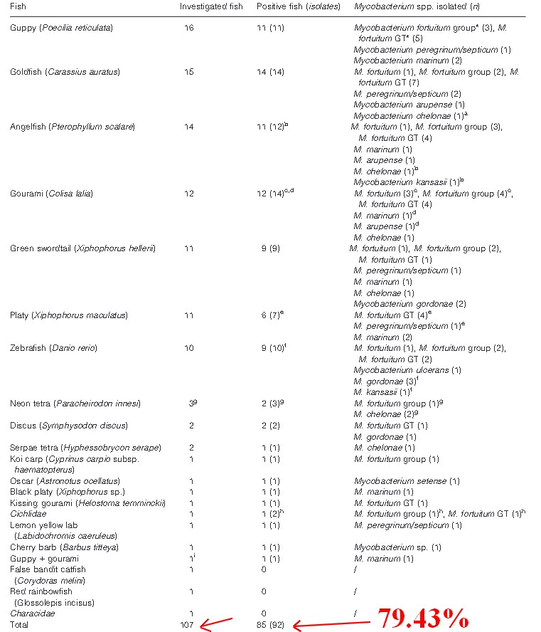 [ARTICLE] Mycobacterium marinum - La maladie du poisson à l'homme 1547206802-myco