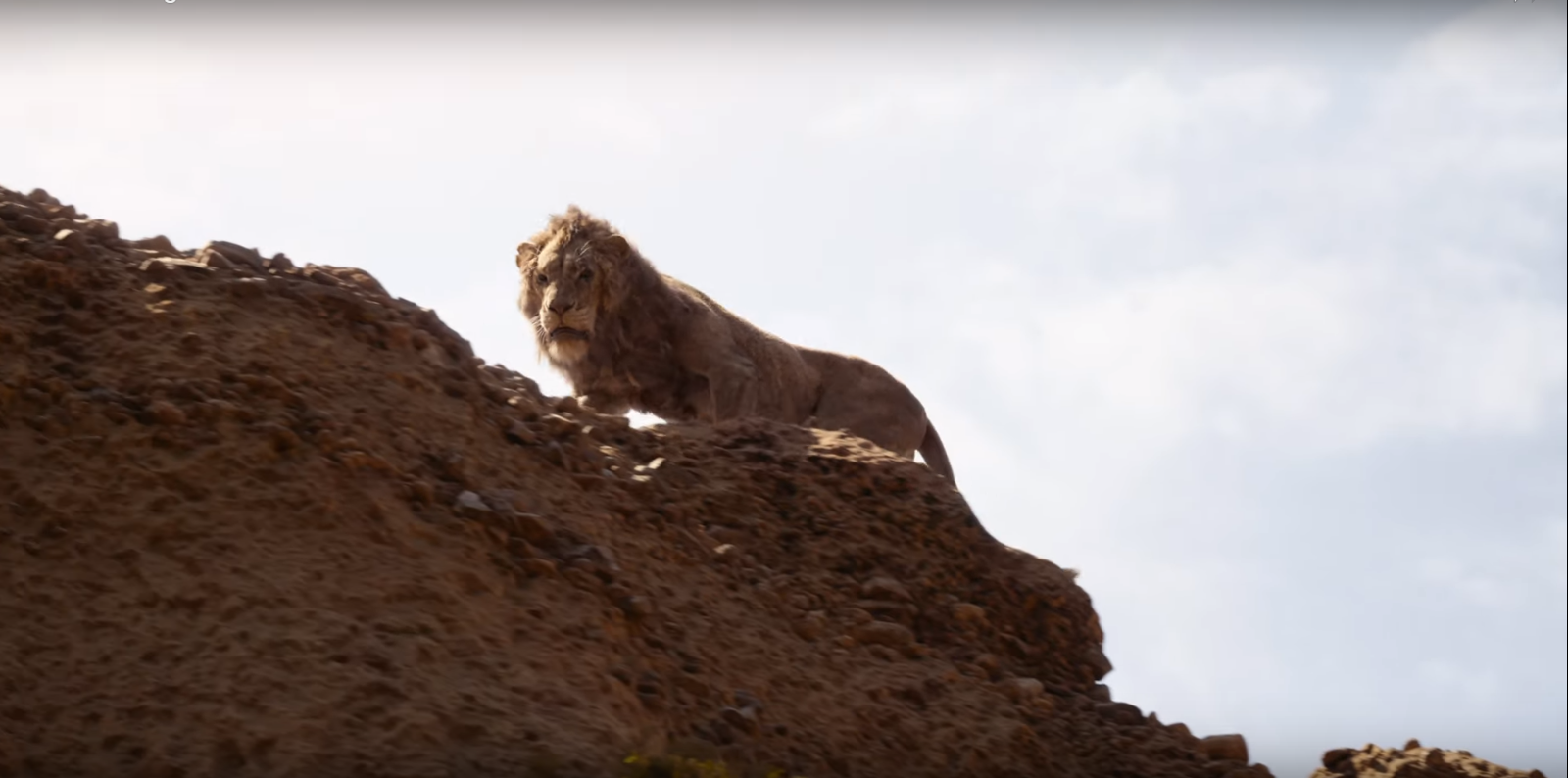 Le Roi Lion [Disney - 2019] - Page 16 1554902498-scar