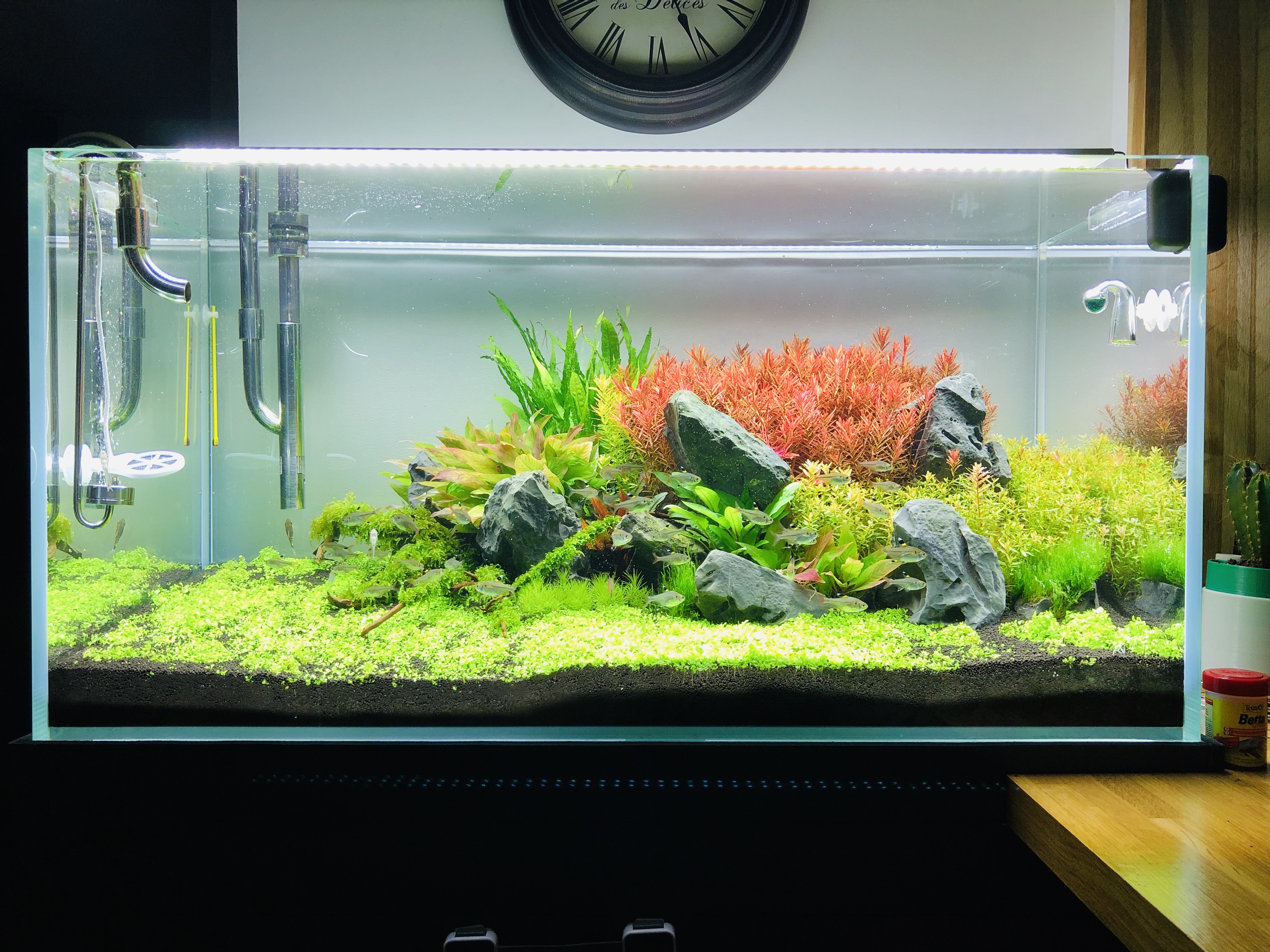 17 - Aquascape Optiwhite 90x45x45 1555707803-img-1561