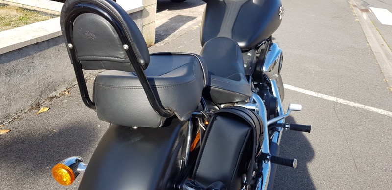 Conseil pour achat street bob 1564166563-87a47ebf-1