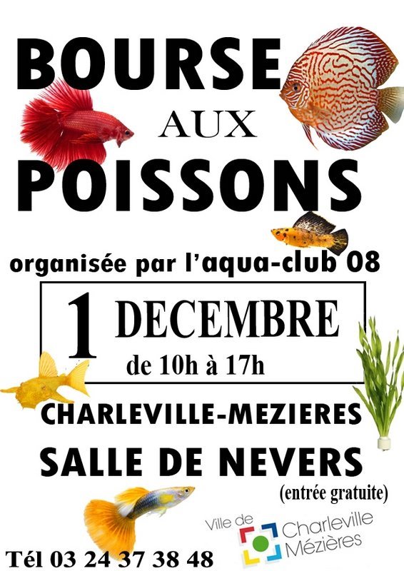 Charleville-Mézières - Bourse d'Aqua Club 08 1573405531-bourse-d-aqua-club-08