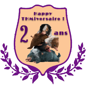 Soirée cb spéciale deux ans de THM  1678652691-badge-2-ans