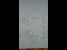 Dessin de Vic' 1337239362-dessinschevaux008