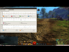 GW2 & Linux  1358261601-capture-1