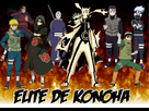 Montage d'image  - Page 2 1360088163-fire-wallpaper-elite-de-konoha-2-copier