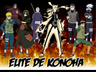 Montage d'image  - Page 2 1360088181-fire-wallpaper-elite-de-konoha-2-copier-jpg-petit