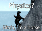 Physics ? BITCH ! 1372615725-halolz-dot-com-skyrim-physics-bitchimahorse