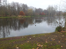 etang - Etang de Falck 1385739685-20131129-092045