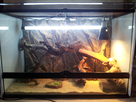 Avis sur mon terrarium (90*45*60) 1393961509-20140129-134534