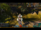 Guild Wars 2 1407399997-gw009