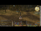 Spécial Pseudo Kikoo/Drôle/Etc... 1429120673-ffxiv-13042015-200044